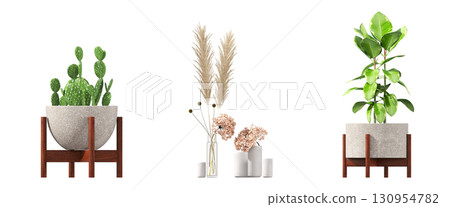 decorative flower in a pot isolate on a transparent background, 3D illustration, cg render 130954782