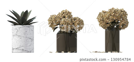 decorative flower in a pot isolate on a transparent background, 3D illustration, cg render 130954784