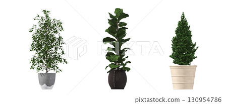 decorative flower in a pot isolate on a transparent background, 3D illustration, cg render 130954786