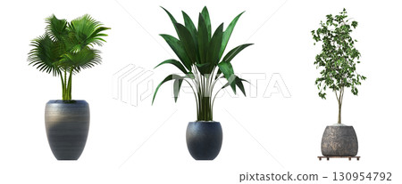 decorative flower in a pot isolate on a transparent background, 3D illustration, cg render decorative flower in a pot isolate on a transparent background, 3D illustration, cg render 130954792