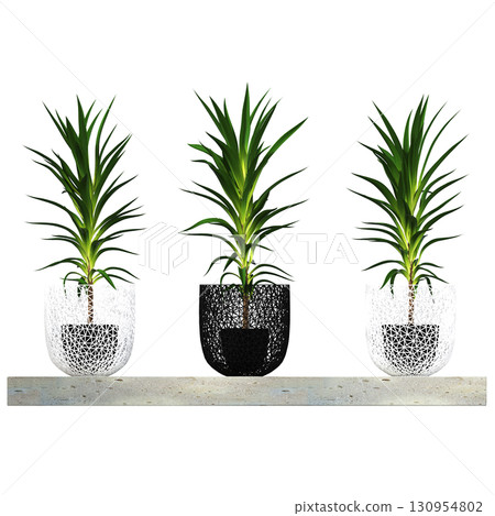decorative flower in a pot isolate on a transparent background, 3D illustration, cg render decorative flower in a pot isolate on a transparent background, 3D illustration, cg render 130954802