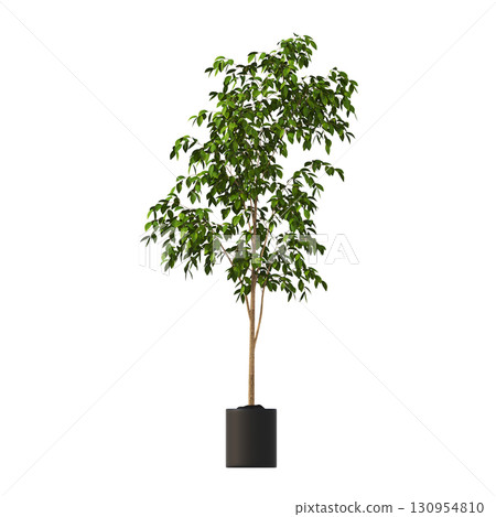 decorative flower in a pot isolate on a transparent background, 3D illustration, cg render decorative flower in a pot isolate on a transparent background, 3D illustration, cg render 130954810