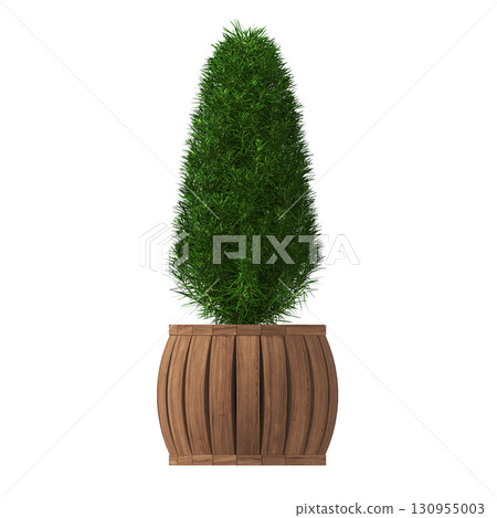 decorative flower in a pot isolate on a transparent background, 3D illustration, cg render decorative flower in a pot isolate on a transparent background, 3D illustration, cg render 130955003
