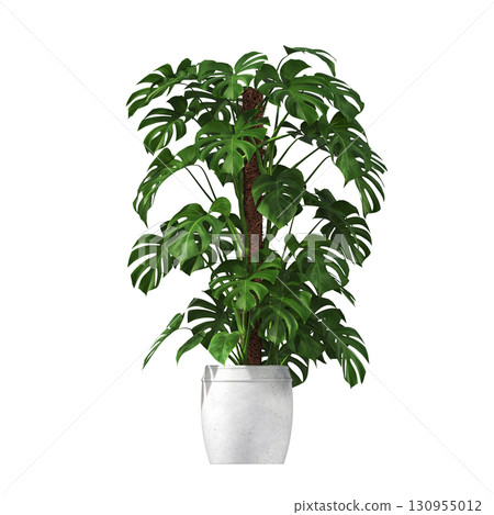 decorative flower in a pot isolate on a transparent background, 3D illustration, cg render 130955012