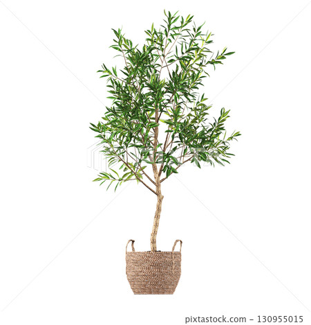 decorative flower in a pot isolate on a transparent background, 3D illustration, cg render 130955015