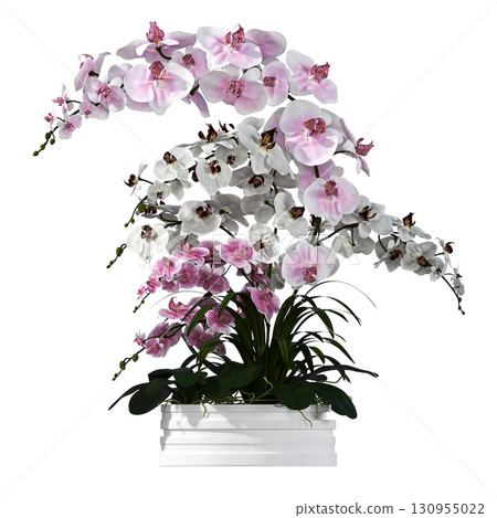 decorative flower in a pot isolate on a transparent background, 3D illustration, cg render decorative flower in a pot isolate on a transparent background, 3D illustration, cg render 130955022