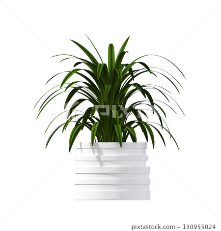 decorative flower in a pot isolate on a transparent background, 3D illustration, cg render decorative flower in a pot isolate on a transparent background, 3D illustration, cg render 130955024