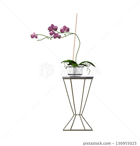 decorative flower in a pot isolate on a transparent background, 3D illustration, cg render decorative flower in a pot isolate on a transparent background, 3D illustration, cg render 130955025