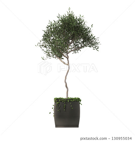 decorative flower in a pot isolate on a transparent background, 3D illustration, cg render 130955034