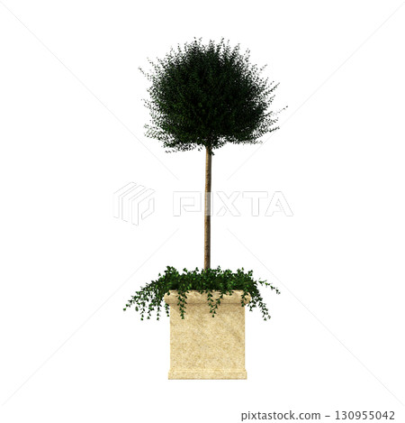 decorative flower in a pot isolate on a transparent background, 3D illustration, cg render decorative flower in a pot isolate on a transparent background, 3D illustration, cg render 130955042