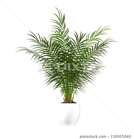 decorative flower in a pot isolate on a transparent background, 3D illustration, cg render 130955048