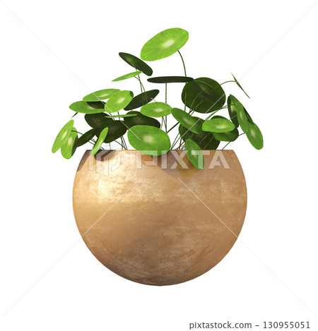 decorative flower in a pot isolate on a transparent background, 3D illustration, cg render 130955051