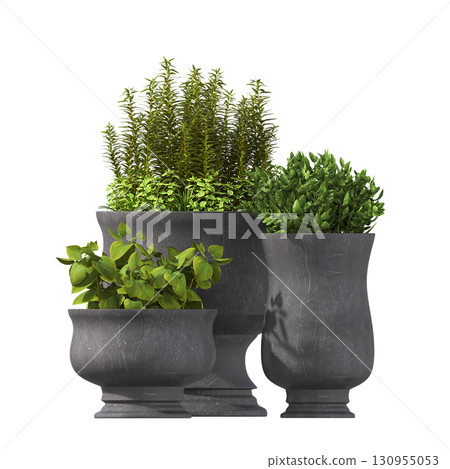 decorative flower in a pot isolate on a transparent background, 3D illustration, cg render 130955053