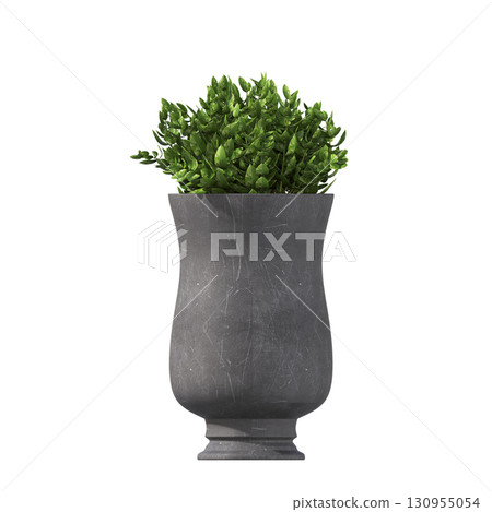 decorative flower in a pot isolate on a transparent background, 3D illustration, cg render 130955054