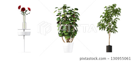 decorative flower in a pot isolate on a transparent background, 3D illustration, cg render 130955061