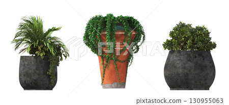 decorative flower in a pot isolate on a transparent background, 3D illustration, cg render 130955063