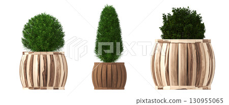 decorative flower in a pot isolate on a transparent background, 3D illustration, cg render decorative flower in a pot isolate on a transparent background, 3D illustration, cg render 130955065