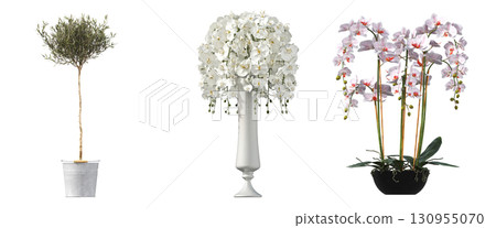 decorative flower in a pot isolate on a transparent background, 3D illustration, cg render decorative flower in a pot isolate on a transparent background, 3D illustration, cg render 130955070