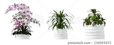 decorative flower in a pot isolate on a transparent background, 3D illustration, cg render 130955072
