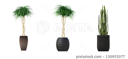 decorative flower in a pot isolate on a transparent background, 3D illustration, cg render 130955077