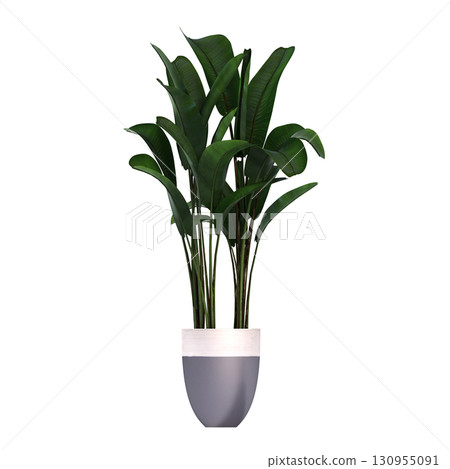 decorative flower in a pot isolate on a transparent background, 3D illustration, cg render 130955091