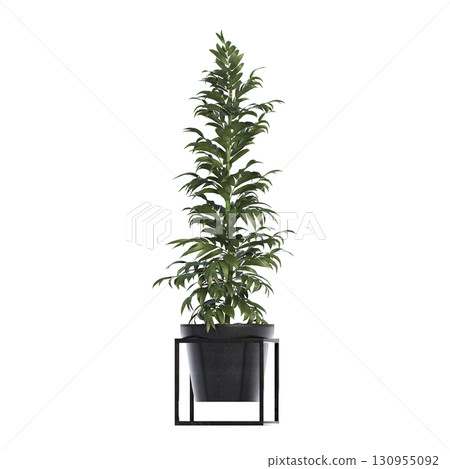 decorative flower in a pot isolate on a transparent background, 3D illustration, cg render 130955092