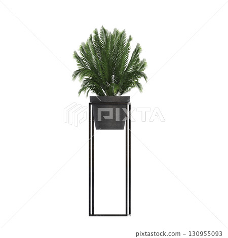 decorative flower in a pot isolate on a transparent background, 3D illustration, cg render 130955093