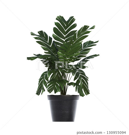 decorative flower in a pot isolate on a transparent background, 3D illustration, cg render 130955094
