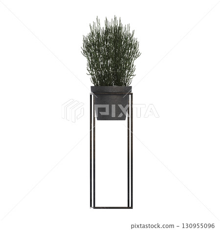 decorative flower in a pot isolate on a transparent background, 3D illustration, cg render decorative flower in a pot isolate on a transparent background, 3D illustration, cg render 130955096
