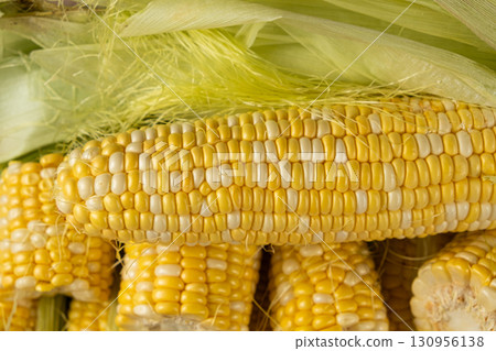 Macro shot of fresh raw corn cobs with green leaves. 130956138