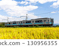 A local train passing through rice fields in autumn 130956355