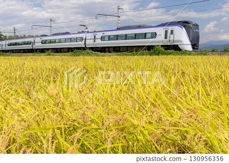 Express train running through the Golden Zone 130956356
