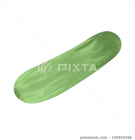 Illustration of cucumber Illustration of cucumber 130956566