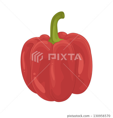 Illustration of bell pepper 130956570