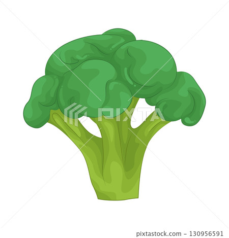 Illustration of broccoli 130956591