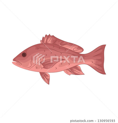 Illustration of fish  130956593