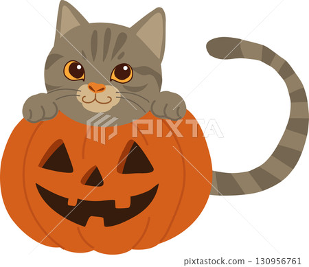 halloween cat with pumpkin cute kitten jack o lantern 130956761