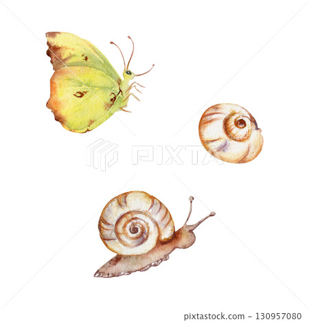 Clouded yellow butterfly, common brimstone, white garden snail spiral shell, animal insect garden pest isolated illustration hand drawn in watercolor. Fairy wedding stationery, nature sticker labels 130957080