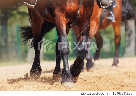 Horse riding school. Little children girls at group training equestrian lessons at outdoors ranch horse riding yard. Cute little beginner kid, closeup feet leg chestnut brown horse 130958133