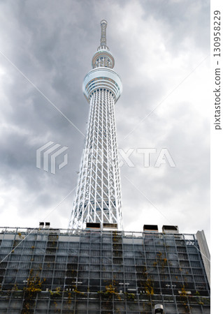 東京東京天空樹 東京東京天空樹 130958229