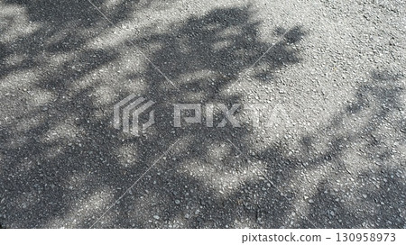 Shadow of a tree reflected on the asphalt road 130958973
