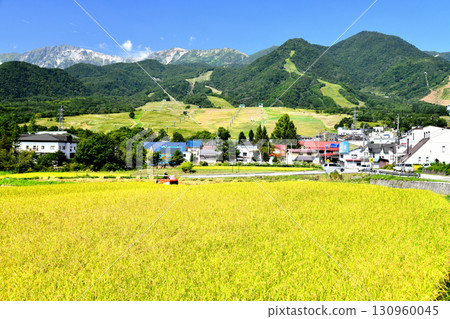 View of Hakuba Tsugaike Mountain Resort (Tsugaike Kogen Ski Resort) (Otari Village, Nagano Prefecture) [September 2025] 130960045
