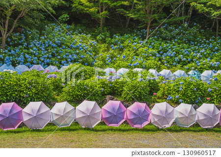 袋井市八多山尊永寺景觀（靜岡縣） 130960517