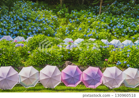 袋井市八多山尊永寺景觀（靜岡縣） 130960518