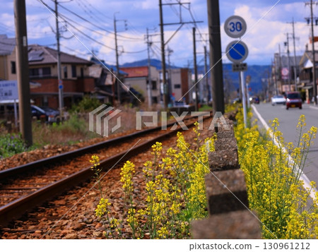 強姦鮮花和軌道 強姦鮮花和軌道 130961212