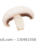 Champignon slice isolated on white background, cut in half raw mushroom 130961508