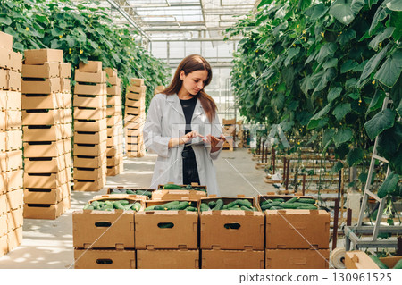 Female agricultural technician in white lab coat inspecting fresh cucumbers in greenhouse, surrounded by neatly stacked boxes, showcasing sustainable farming practices, quality control in horticulture 130961525