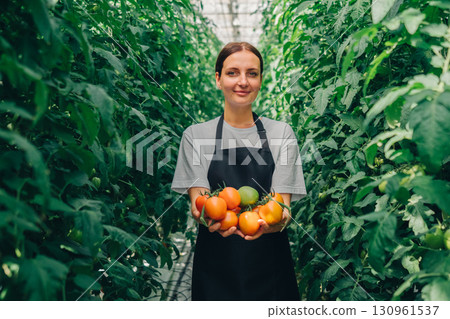 Female gardener in greenhouse holding fresh tomatoes and vegetables, surrounded by lush green plants, showcasing sustainable agriculture and healthy living in a vibrant, natural environment 130961537