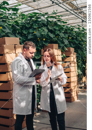 Two agricultural scientists in white lab coats are discussing research findings while standing in a greenhouse filled with lush green plants and stacked cardboard boxes, collaboration in agriculture Two agricultural scientists in white lab coats are discussing research findings while standing in a greenhouse filled with lush green plants and stacked cardboard boxes, collaboration in agriculture 130961566