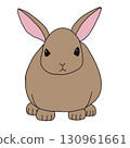 Brown rabbit 130961661